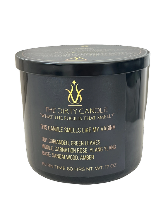 THIS CANDLE SMELL LIKE MY VAGINA