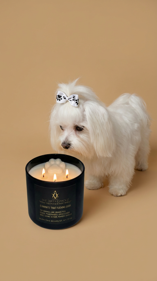 ELIMINATE THAT FUCKING ODOR